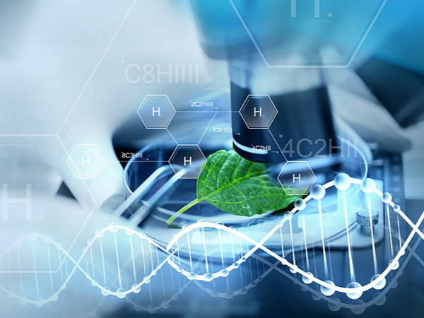 list:title lencn=12]